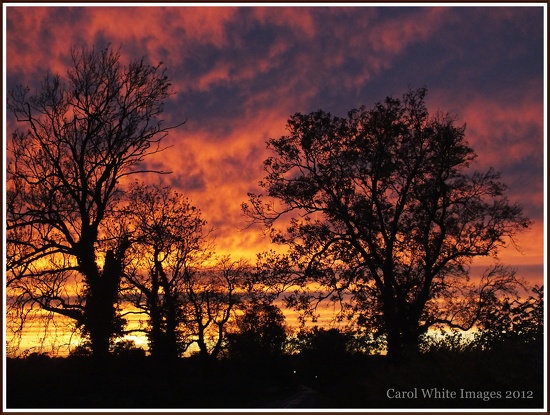 Red Sky At Night...Sailors Delight by carolmw