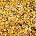 Carpet by humphreyhippo