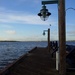A Walk Along Lake Washington