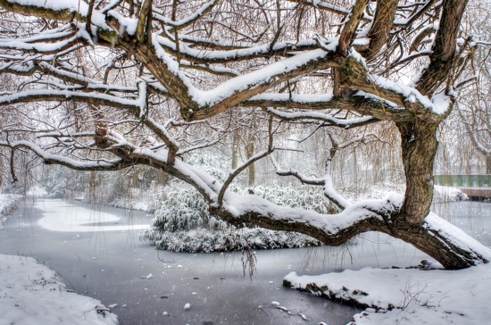 Frozen moat by boxplayer