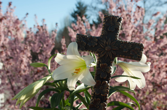 Blessed by Jesus by vickisfotos