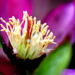 Signs of Spring!