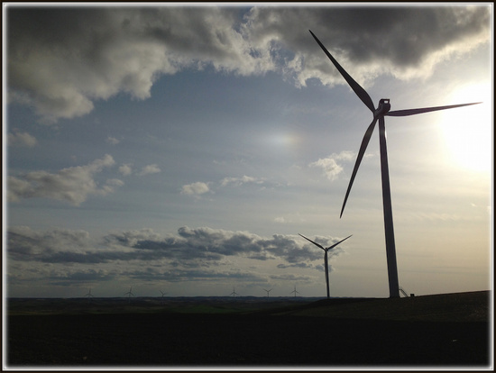 Wind Turbines Into the Sun by marilyn