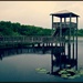 Serenity