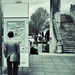 Everybody's Looking For Something 