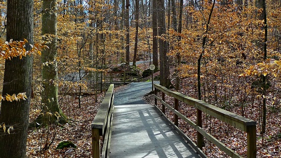 Bridge Over Troubled Water by soboy5
