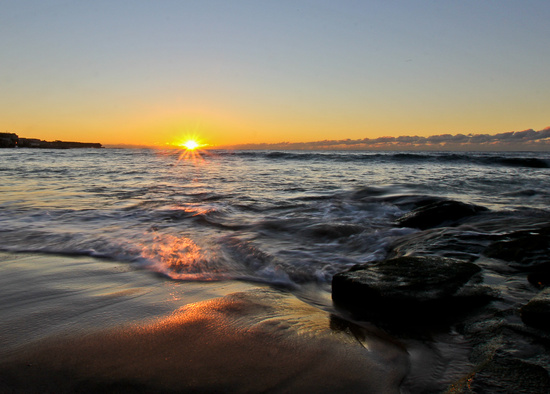 Morning glory by abhijit