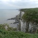 Bempton Cliffs