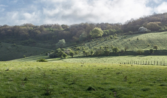 Morning light on the landscape by dulciknit
