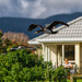 Waikanae Flyby