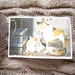 postcard by inspirare