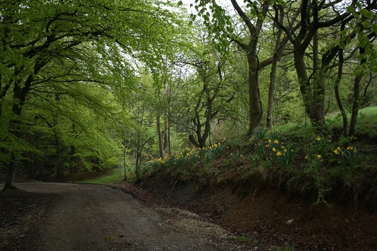 up the lane by roachling