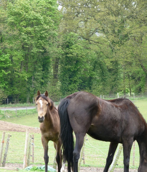 'Oh, hello' by sabresun