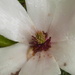 P1080890