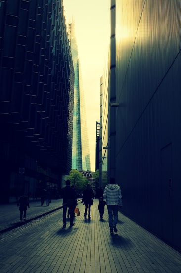 Shard of Light by judithg