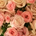 Antique colour