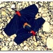 Butterfly dance