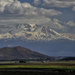 Mt Shasta In the Clouds