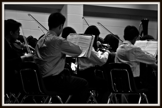 "Music is an outburst of the soul."  ~Frederick Delius by dmrams