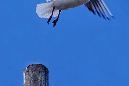 Take off by jesperani