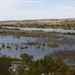 The Murray river at Mannum