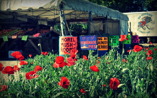 Poppies, Fruits, & Veggies by pflaume