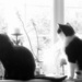 Watching...