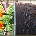 Flower Pot