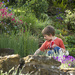 open garden II