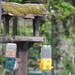 Time To Stop Feeding The Birds!