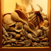2013 06 14 Shells