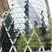 Spring greens & a Gerkin.