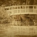 The bridge