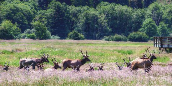 Bachelor Party  by jgpittenger