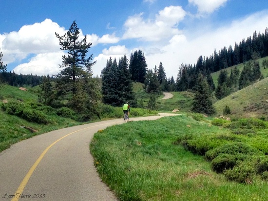 Vail Pass Bike Trail by lynne5477