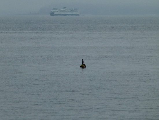 Bird and the Boat on 365 Project Bird and the Boat on 365 Project