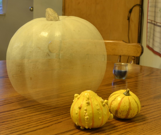 Ghost Pumpkin on 365 Project Ghost Pumpkin on 365 Project