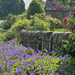 Village Garden