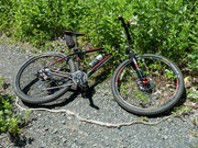 16th Jun 2026 - Snake skin, with mountain bike for scale.