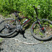 Snake skin, with mountain bike for scale.