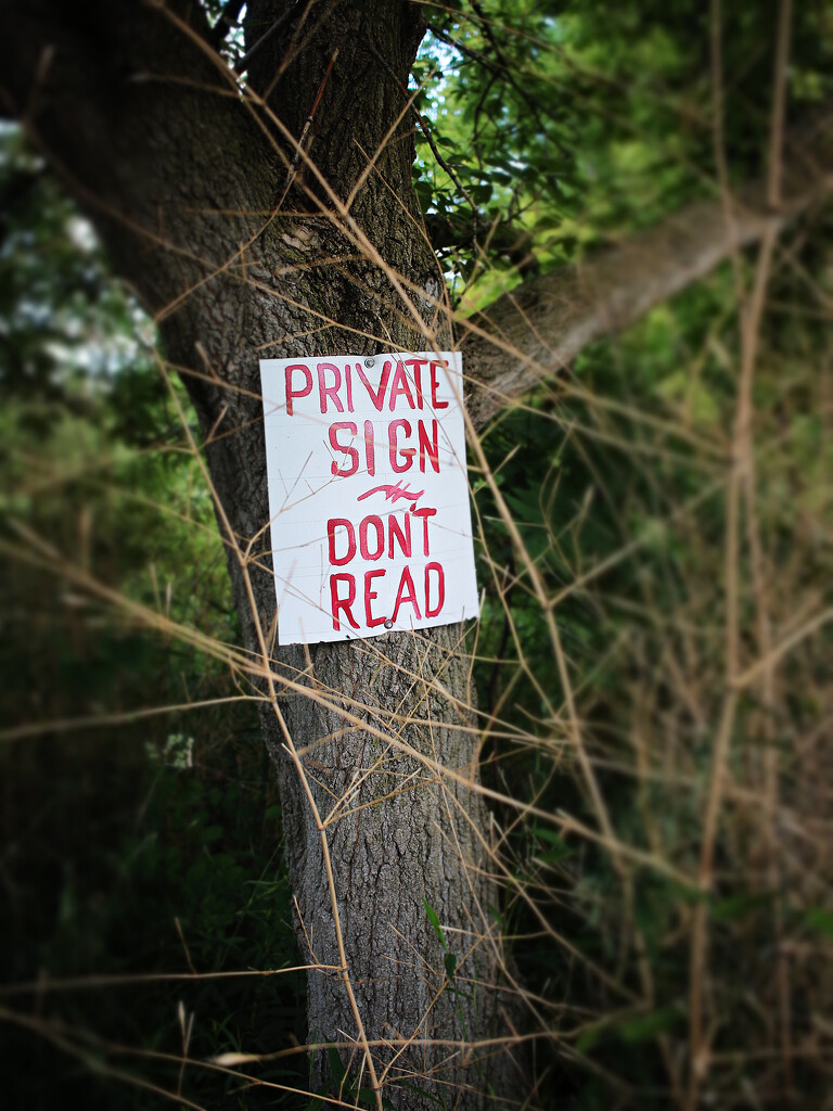 Okay, Then by juliedduncan
