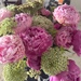 Peonies