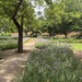 Jardin d’essais botaniques, Rabat