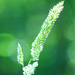 Full of Life