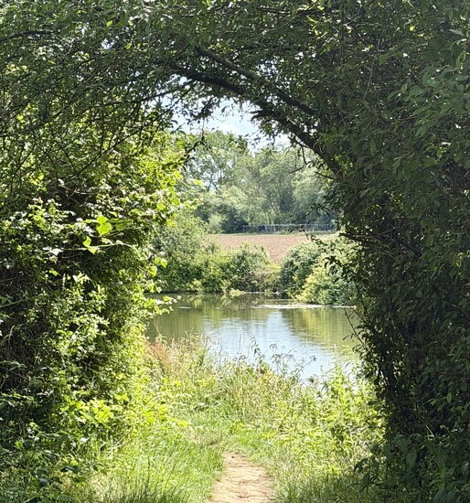 Riverside Walk  by jeremyccc