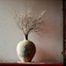 Ornamental