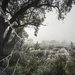 Winters morning
