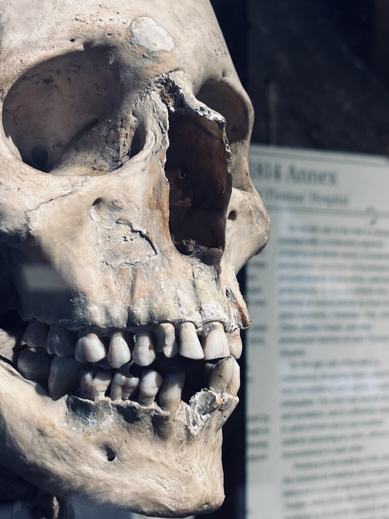 ol’ smiley by graemestevens