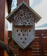 22nd Jun 2026 - Insect Hotel