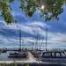 The Marina